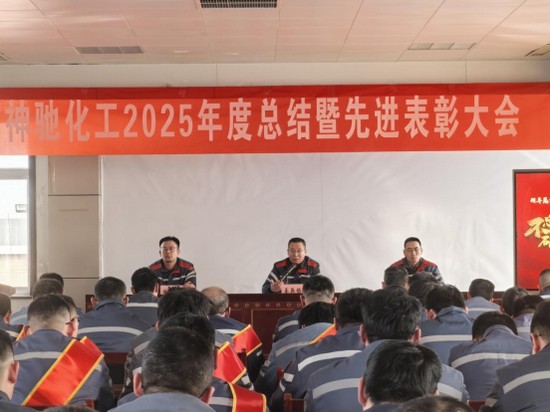 同心筑山海 并肩向未来 2025年度总结暨先进表彰大会